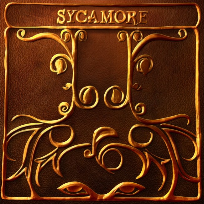 sycamore